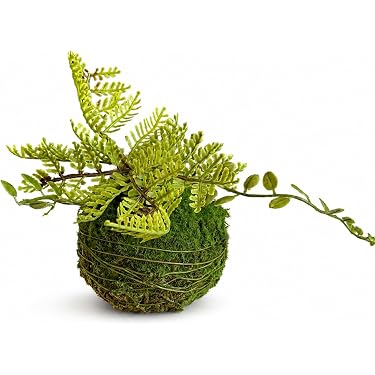 Amazon.co.jp 最新リリース: 造花・人工植物 の新着ランキングです。