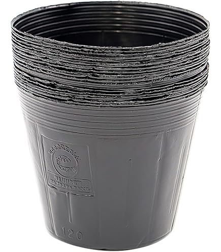 Amazon.co.jp: ポリポット 15cm 黒 100個 ビニールポット : DIY・工具