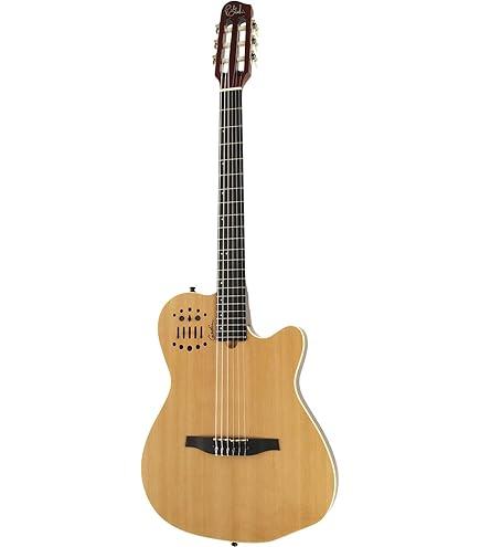 Amazon | GODIN (ゴダン) ナイロンギター エレガットギター Multiac
