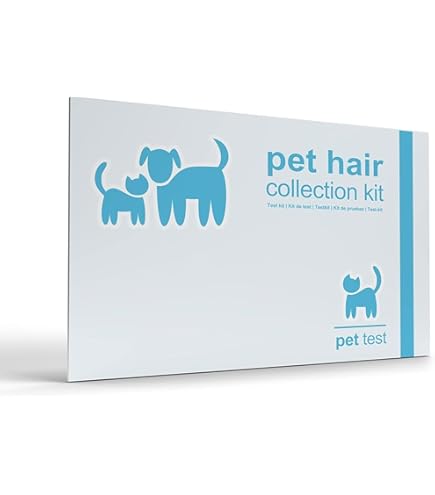 Dna Testing Kit Ancestry AffinityDNA Dog Breed DNA Test Kit For 350+ Breeds By Percentage Dog Dna Testing Kit