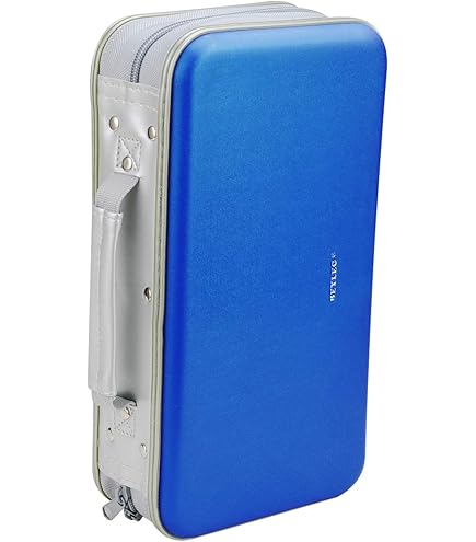 Amazon.co.jp: luz AMULET 品 初回限定盤 付CD CD : パソコン・周辺機器