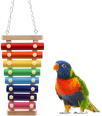 FlidRunest Bird Toys - Colorful Silicone Rattle Ball & Acrylic Chew Toy For Parrots, Conures
