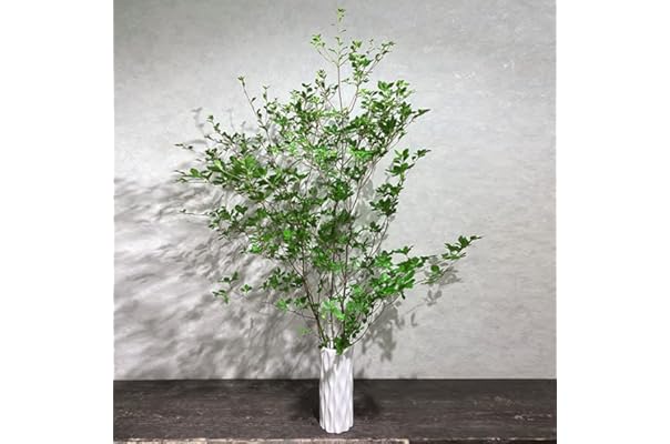 Amazon Co Jp 新着ランキング 花束 の新着ランキングです