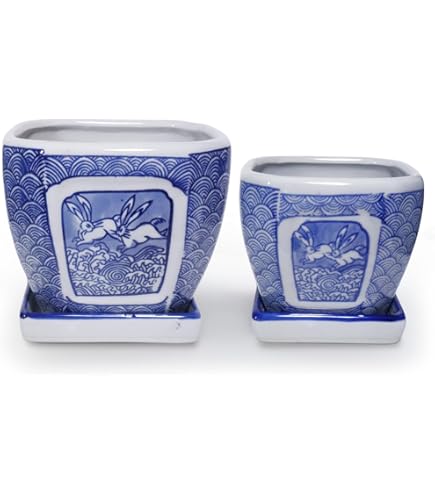 青と白の陶器製蘭鉢 Amazon.co.jp: セラミックフラワー盆栽鉢 青と白の磁器蘭鉢 屋内用