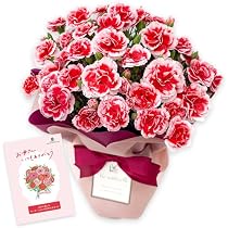 Amazon.co.jp: 来年2027年お届け【ありがとうを伝える】 母の日 花