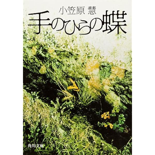 Amazon.co.jp: 風の音が聞こえませんか (角川文庫) 電子書籍: 小笠原