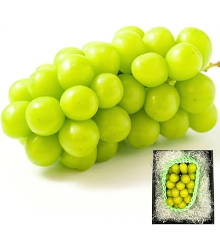 Amazon.co.jp: 予約販売期間中 ｜ 長野県産 クイーンルージュ ぶどう