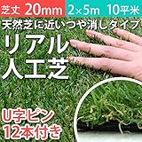 Liebe【リーベ】人工芝 芝丈20mm 2m×5m 10平米 + U字ピン12本 『パークシア・エコノミー ハイグレード』