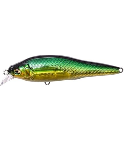 Amazon.co.jp: メガバス(Megabass) ミノー X-80Jr.SW GG アカキン