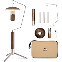 61lLVsOeuUL._AC_UL210_SR210,