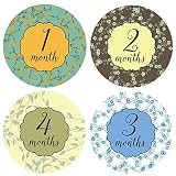 Design Corral Frames Baby Girl Monthly Stickers, Perfect Baby Shower Gift [並行輸入品]