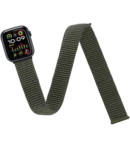 Amazon.co.jp: GreenInsync Fitbit Alta用バンド 金属製 Fitbit Alta
