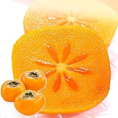 ［先行予約］和歌山県産 訳あり 平核無柿 7.5kg L ~ 2L サイズ たねなし柿 種無し柿 ご家庭用 選果場 直送