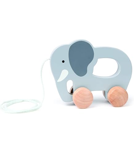 Hape(ハペ)  ジラフ E0906 Amazon.co.jp: Hape(ハペ) ジラフ E0906 : 本
