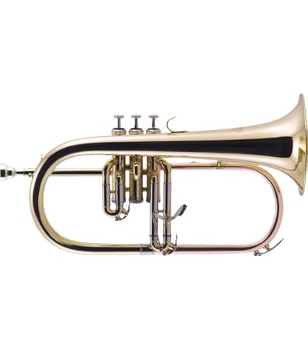 Amazon.co.jp: ゼンオン フレンチホルン ZFH700 : 楽器・音響機器