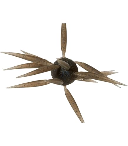 Amazon.co.jp: ハイドアップ コイケ フィッシュL エラストマー #142