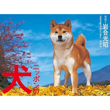 最終値下げ‼️34000⇨超美品1点限り‼️平凡社 大辞典 二冊セット 虫眼鏡付き 34000⇨超美品1点限り‼️平凡社 大辞典 二冊セット