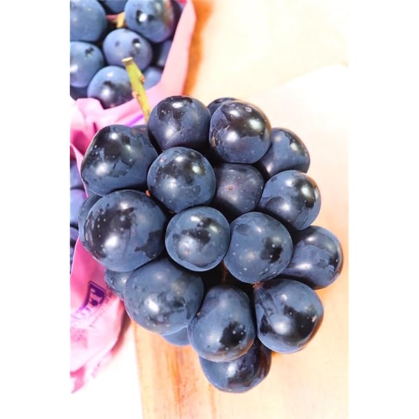 はーぼー　ナガノパープル4房 ナガノパープル4kg（7～9房） | GRAPE BASE公式オンラインショップ