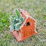 多肉植物 寄せ植え テラコッタ ハウス ( B タイプ )