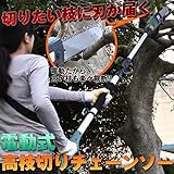 高枝電動チェーンソー/カッター 【角度調整可】 全長：205～265cm 生活用品 インテリア 雑貨 日用雑貨 その他の日用雑貨 top1-ds-1831237-ak [簡易パッケージ品]