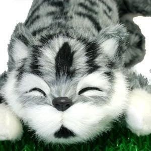 笑い転げる猫 グレー