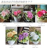エマ スウィートライラック*明るくはつらつとした美しさ /プリザーブドフラワーアレンジ＊お祝い・誕生日・お礼・敬老の日・内祝い・新築祝い・開店祝い・ホワイトデー・プレゼント・母の日・テーブル装花