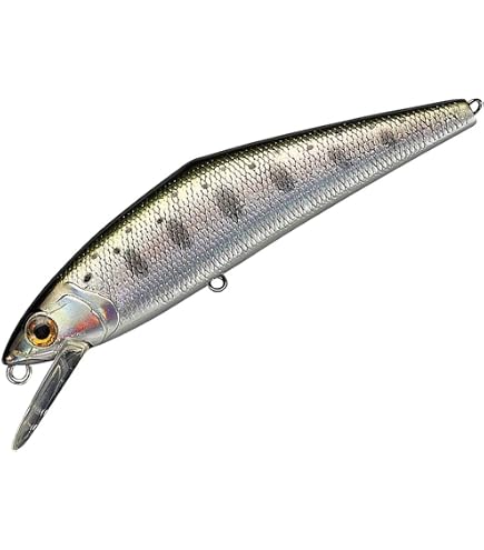 Amazon | 天龍(Tenryu) トラウトロッド レイズ スペクトラ (Rayz