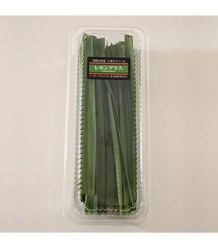Amazon.co.jp: タイ産 新鮮輸入 バイマックル ( コブみかんの葉 )(20g