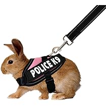 pink bunny harness