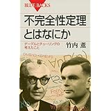 不完全性定理とはなにか (ブルーバックス)
