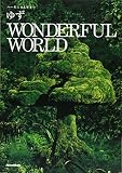 ハーモニカ&ギター ゆず/WONDERFUL WORLD