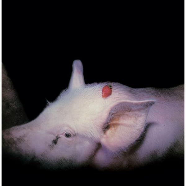 Amazon.co.jp: Strawberries [12 inch Analog]: ミュージック