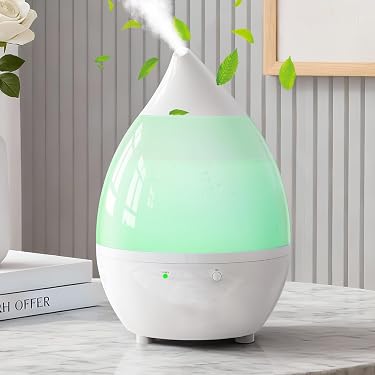 Amazon.co.jp 最新リリース: 加湿器 の新着ランキングです。