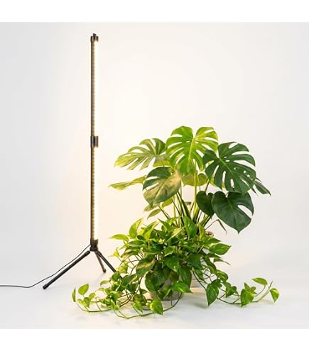 Amazon.co.jp: VIVOSUN T5 グローライト 屋内植物用 5000K フル