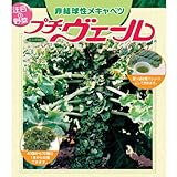 プチヴェール 3号ポット12株セット[非結球性芽キャベツ] ノーブランド品