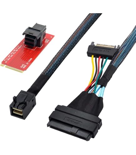 Amazon.co.jp: M.2 NVME SSD - U.2 SFF-8639 アダプター 2 in 1、M.2