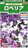 サカタのタネ 実咲花6894 ロベリア ジュエルボックス 10袋セット