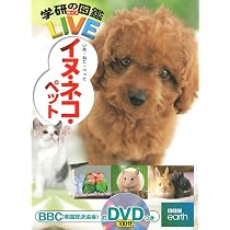 Amazon.co.jp: イヌ・ネコ・ペット (学研の図鑑LIVE（ライブ