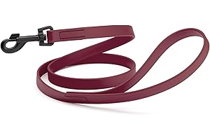 Dogline Biothane Waterproof Dog Leash Strong Coated Nylon Webbing with Black Hardware Odor-Proof Easy to Clean High Performance for Small or Large Dogs Made in USA 4 or 6 ft Lead, Merlot Burgundy