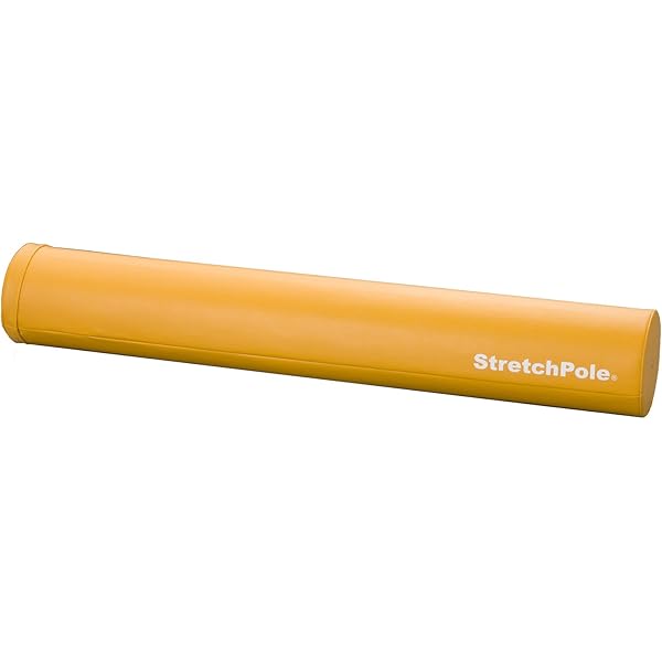 Amazon.co.jp: タニタ(Tanita) 体組成計 インナースキャンデュアル RD