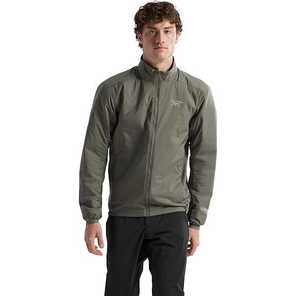 Amazon | [アークテリクス] ARCTERYX デルタジャケット男性用