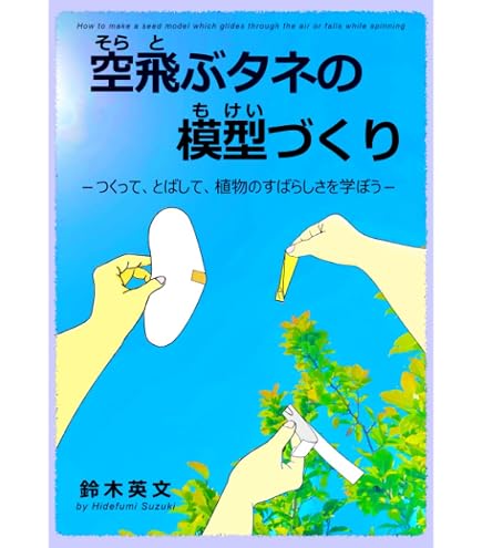 Amazon.co.jp: アルソミトラの種(フライングシード)2枚 : DIY・工具