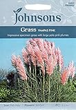 JOFL 英国ジョンソンズシード　Johnsons Seeds Pampas Grass Pink パンパス・グラス・ピンク ジョンソンズシード
