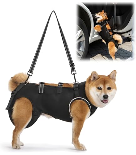 Amazon | With(ウィズ) 歩行補助ハーネス LaLaWalk 中型犬・コーギー用