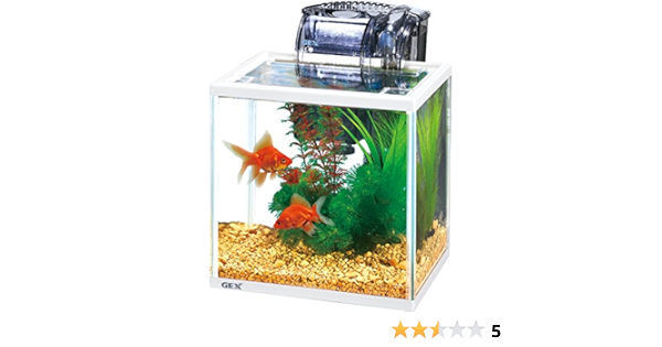 Amazon ジェックス 金魚元気 ラクラクセット ジェックス 飼育セット 通販