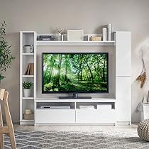 61ljLOzvf-L._AC_UL210_SR210,