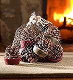 1ダースwax-bottom Pinecones