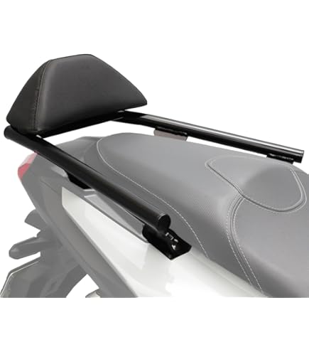 SP武川 グラブバー(ラージバックレスト付き) アドレス110用 楽天市場】【アドレス110(CE47A-100001〜)適合】SP 武川 バック