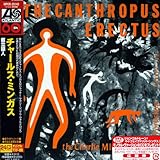 �������l