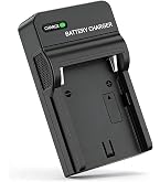 Amazon | NinoLite USB型 充電器 ソニー BC-QZ1 NP-FZ100 α9II α9